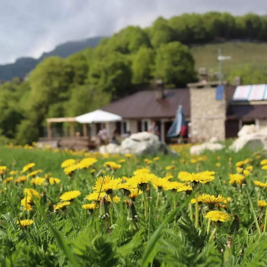Rifugio Baita Fos-Ce Брентоніко Екстер'єр фото